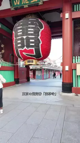 DufferのTikTok投稿