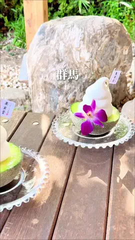 ぐるねこ｜群馬グルメ・おでかけのTikTok投稿