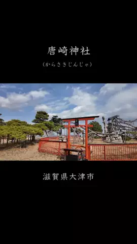 DufferのTikTok投稿