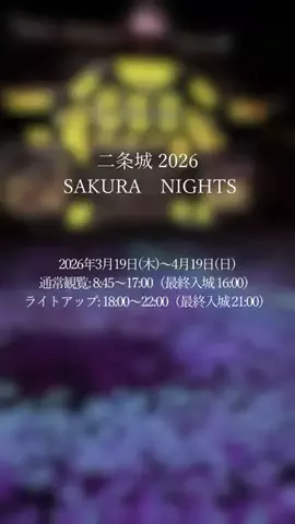 DufferのTikTok投稿