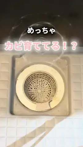 ごのくら｜ズボラ夫のラクする暮らしのTikTok投稿