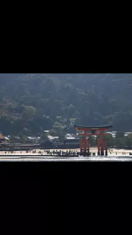DufferのTikTok投稿