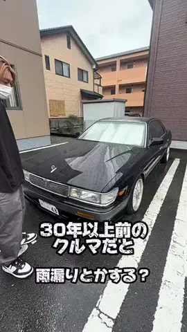 🔧週一洗車マン🔧のTikTok PR投稿：コスパめっちゃ良くない？このブロワー！ Temuアプリの検…