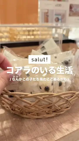 カナ | お財布に優しい便利アイテムガイド👛✨のTikTok投稿