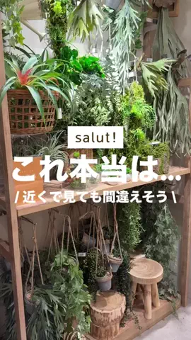 カナ | お財布に優しい便利アイテムガイド👛✨のTikTok投稿