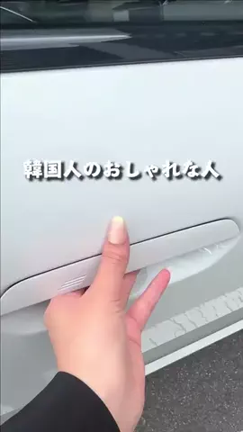 EmlogですのTikTok投稿