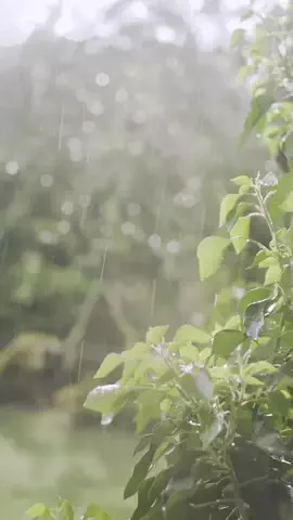 トーーク男子のTikTok投稿