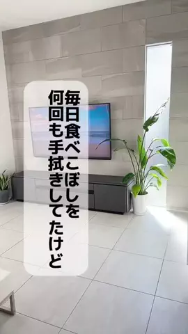 えびまいのTikTok投稿