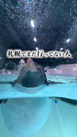 旅と北海道｜ROYのTikTok投稿