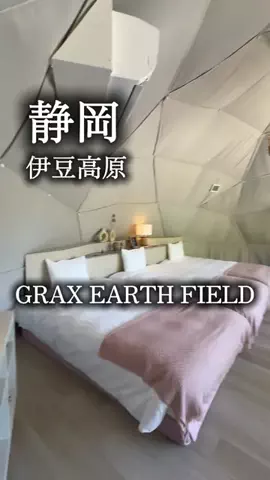 アルコールのひとのTikTok投稿