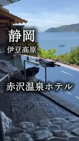 アルコールのひとのTikTok投稿