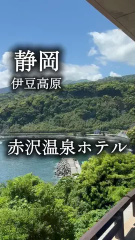 アルコールのひとのTikTok投稿