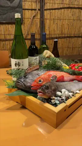 旅と北海道｜ROYのTikTok投稿