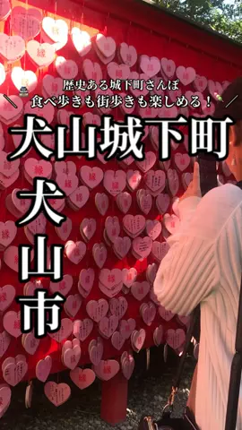 トウカイビヨリ｜東海グルメ旅のTikTok投稿