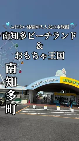 トウカイビヨリ｜東海グルメ旅のTikTok投稿
