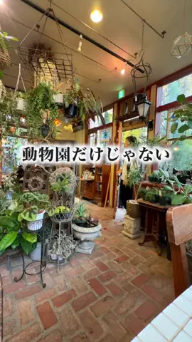 旅と北海道｜ROYのTikTok投稿