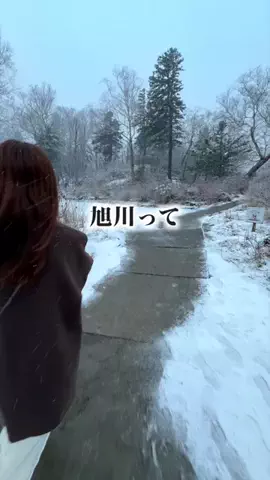 旅と北海道｜ROYのTikTok投稿