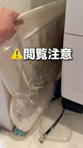 たなのTikTok投稿