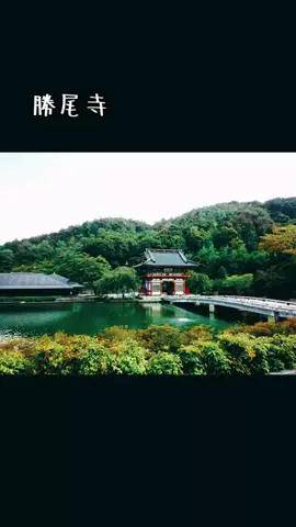 𓂅𓎩オジー𓌉◯𓇋のTikTok投稿