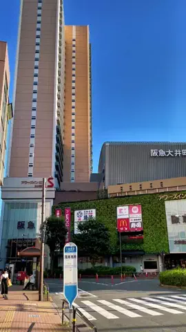Yasuo Ikarashi PhotographerのTikTok投稿