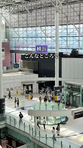 みう@横浜ご褒美グルメのTikTok投稿