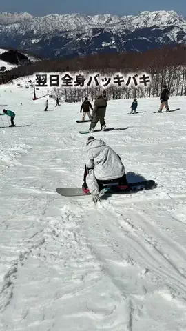 ゆたはる💑🌏🌞|横浜→全国おでかけ365日発信カップルのTikTok投稿
