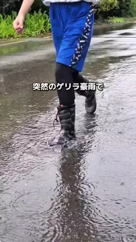 バカ売れ研究所のTikTok投稿