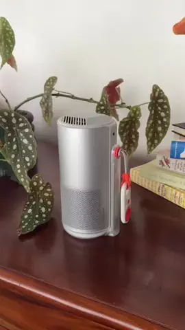 mammysroomのTikTok投稿
