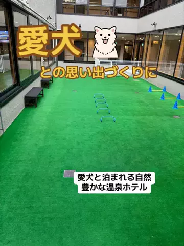 おとけしきのTikTok投稿