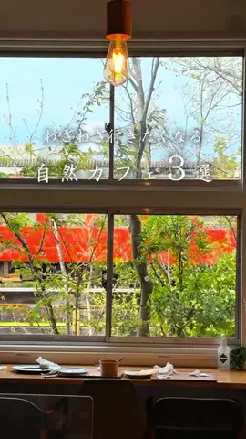 シュン | 大人の休日ガイドのTikTok投稿