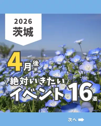 茨城ガイド📕あせこ【お出かけ・グルメ・観光・イベント】のTikTok投稿