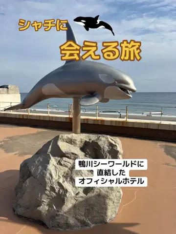 おとけしきのTikTok投稿