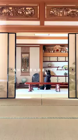 高知が好きすぎて移住した女のTikTok投稿