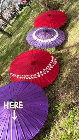 おでかけてくてく🌈のTikTok投稿