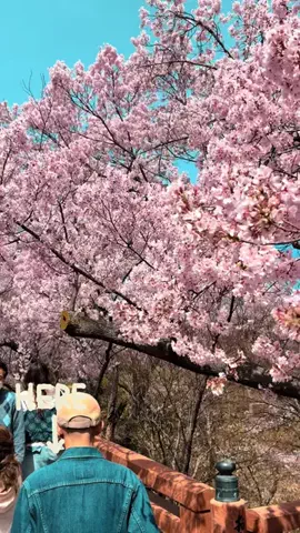 おでかけてくてく🌈のTikTok投稿