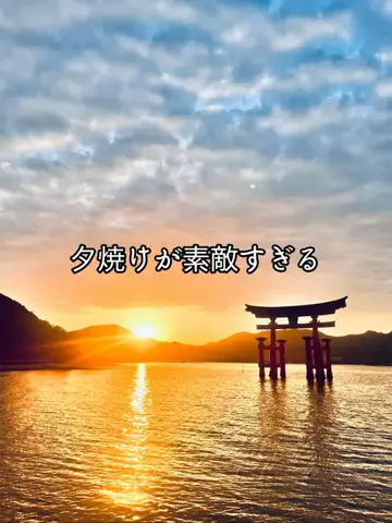 ひぐまクックのTikTok投稿