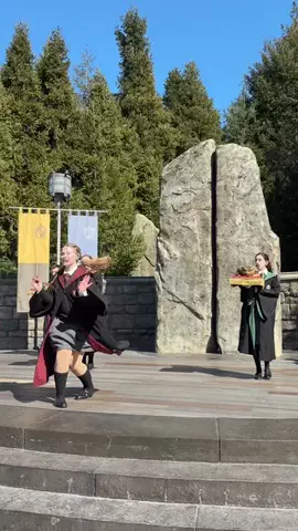 Haru's ParkのTikTok投稿