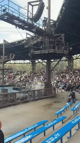 Haru's ParkのTikTok投稿