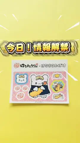 えり｜3児ママの暮らしの実験室のTikTok投稿