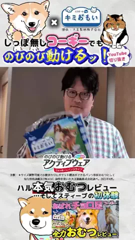 柴犬スティーブ🍌のTikTok投稿