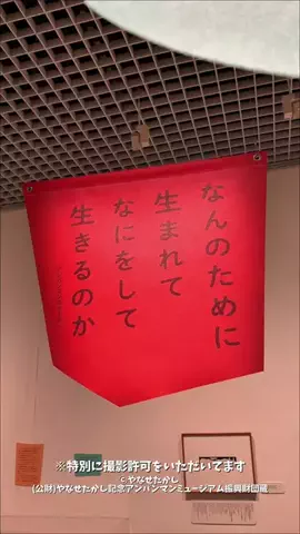 ドコいく愛知県民｜コジコジ夫婦のTikTok投稿