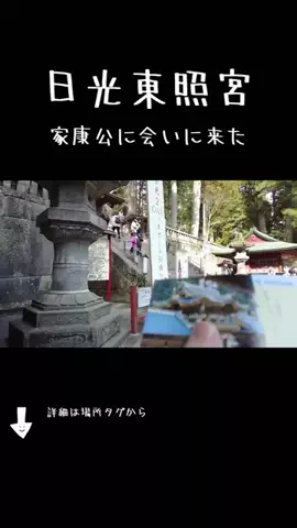 MIYU先生🎸メタル女子🐼のTikTok投稿