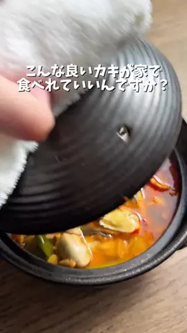 ドコいく愛知県民｜コジコジ夫婦のTikTok投稿