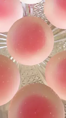 ✨ 推しグルメ。～食べた瞬間、好き。～のTikTok投稿