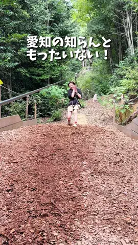 ドコいく愛知県民｜コジコジ夫婦のTikTok投稿