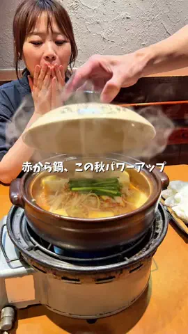 ドコいく愛知県民｜コジコジ夫婦のTikTok投稿