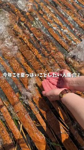 ドコいく愛知県民｜コジコジ夫婦のTikTok投稿