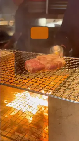 hakusanshi_no_hitoのTikTok投稿