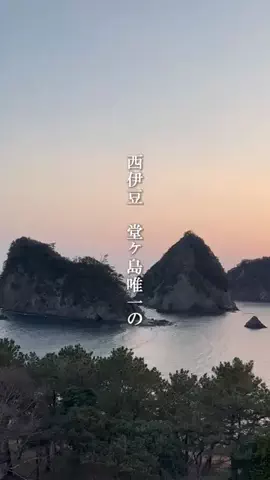 user00672029831のTikTok投稿