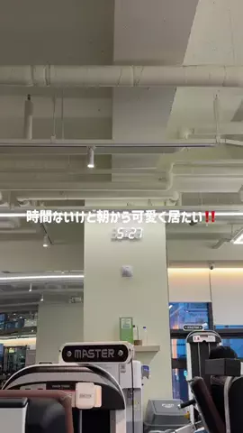 こぐまちゃんのTikTok投稿